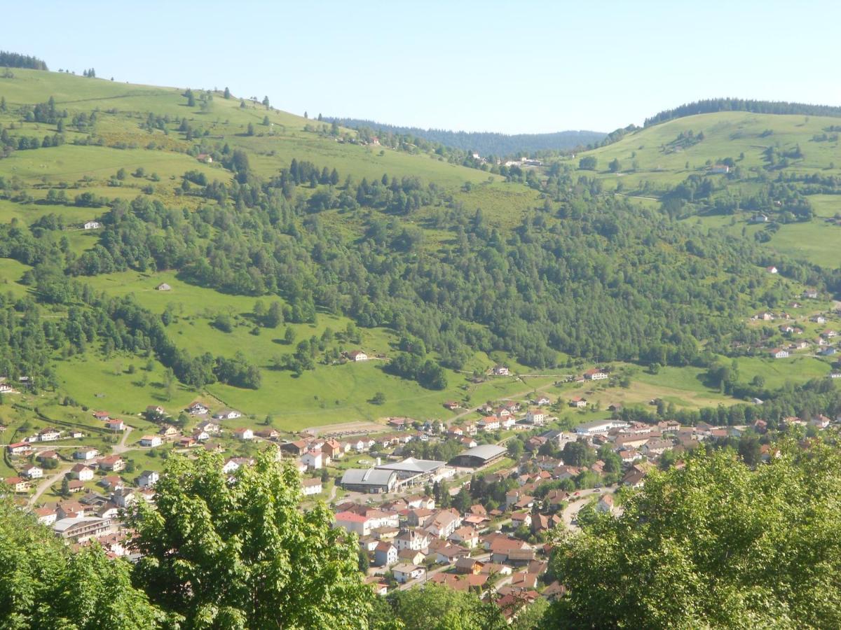 Bouton D Or Apartment La Bresse Exterior photo