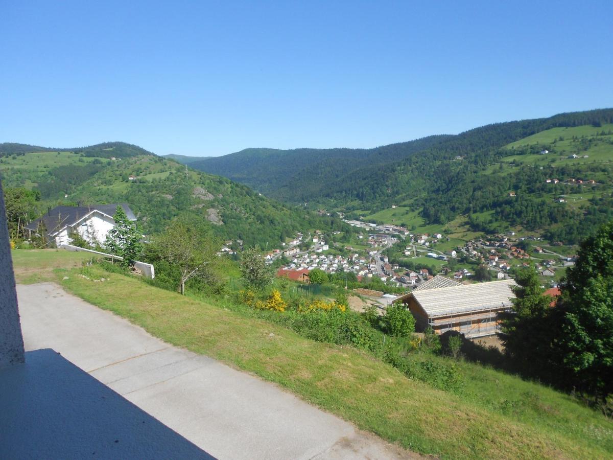 Bouton D Or Apartment La Bresse Exterior photo